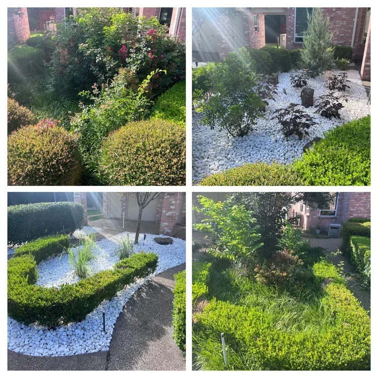 Before and after landscape renovation with white gravel beds, shrubs, ornamental grasses, and brick home